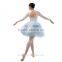 New Dansgirl Long Lace Sleeves Ballet Tutus Performance Ballet Dress Adult Dance Dress