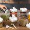6 Pc Mini Food Container Set Durable Clear Plastic Food Storage Containers with Lids Kitchen Cabinet Pantry Containers