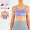 Backless Crop Sports Bra Wholesale Quick Dry Breathable Compression Fitness Yoga Tops Nylon Spandex