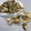 White Dried Bolete Mushroom Market Prices For Mushroom From Forest