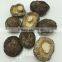 Smooth Dried Shiitake Mushroom 1KG with Stem