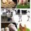Probiotics additive for animal drinking water