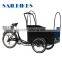 3 wheel electric cargo tricycle for children