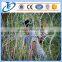 Factory Direct Sale High Security Rzaor Barbed Wire