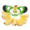 vegetable fruit cutter Apple Cutter apple corer slicer