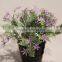 Cheap Fake Plastic Potted Artificial Flowers in Lavender for Sale