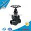 black steel globe valve NPT SW valve