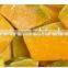 IQF Frozen pumpkin cut with best price
