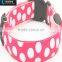 cheap fashion led dog collars and leash