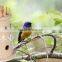 Hot sale Promotion bird cage wood bird house