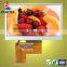 4.3 TFT LCD screen high brightness with 24-bit RGB interface