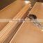 Steel Bimetal Steel Strips CuPb10Sn10