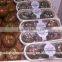 Supermarket Display Customizable High Quality With Absorbent Pad PP Meat Storage Containers