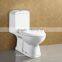 Dual Flush Floor Standing WC Toilet with Soft Close PP Seat Cover                        
                                                                Most Popular