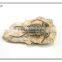 magent marine life fossil wall decor 3d rock effect wall decoration
