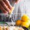 Stainless Steel Cheese Grater and Lemon Zester