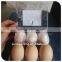 2015 wholesale factory the tray of 6 holes for chiken egg