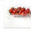 Fruit and Vegetable Packaging Trays for Supermarket