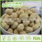 Peanuts and Peas Manufacturer Wholesale BBQ Flavor Peanuts and Other Processed Snacks Certificated with BRC, HACCP, HALAL