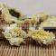 chrysanthemum flower tea from huangshan,chinese chrysanthemum tea,huangshan tribute chrysanthemum