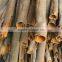 Vietnam Cassia split, broken and whole tube type A, B or C