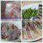 Chinese stainless steel fish slicing/cutting machine