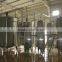 Glucose Syrup Production line&extracted from Corn Rice directly