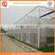 Agriculture equipment multi-span 10.8m plastic PO film greenhouse for sale