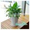 GreenSun self watering plante/interior landscaping planter,plastic plant pot, use convenient plant pot,dureble plant pots