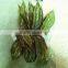 Home and outdoor garden edging christmas decoration 60cm or 24inches Height artificial small grass for green wall E04 1027