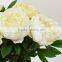 hot sell new style peony new year decoration wedding fabric