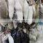 high quality fox fur keychain / fox fur chain