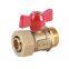 Manifold and Main Pipe Connected Angle Valve