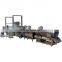 potato chips snack food processing equipment| frozen french fries production line