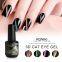 RONIKI 3D Cat Eye Gel Polish,Cat Eye Gel,Cat Eye Gel Polish,Cat Eye Gel Wholesaler,Variety Cat Eye Gel