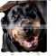 i@home 3d digital mildew resistant 100% polyester dog fabric shower curtain printing waterproof