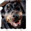 I@home 3d Digital Mildew Resistant 100% Polyester Dog Fabric Shower Curtain Printing Waterproof