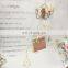 Battery Powered 10L Metal Christmas Tree Shaped Clips Fairy String Lights For Home Party Decoration