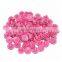 Auto Car Fasteners Plastic Car Upholstery Clips