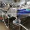 Fruit Air Bubble Cleaning Machine Strawberries Grapes Red Dates Vegetables Washing Machine