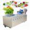 Fruit and vegetable  washing packing process line fruit and vegetable cleaning machine