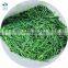 Garlic Scapes New Crop Frozen Green Garlic Sprouts Cut