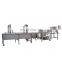 Air Bubble Vegetable Washer Bubble Washing Machine for Berries Food Industry
