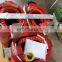 Cast Resin Coils for Dry Type Transformers 11KV,  15KV, 33KV, 5000KVA