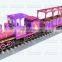 24 person tourist track train park train