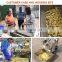 Galangal powder processing machine ginger peeling washing machine plantain slicer