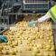 Easy control complete automatic preformed potato chips production line