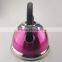 2.5L high quality stainless steel water kettle with colorful coating