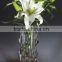 High quality glass flower vase for home decoration decoration CV-1021