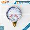 (YW-100A) 100mm Common Functional Dial Style Double Pointer Standard Male Thread Connection Hot Water Temperature Gauge